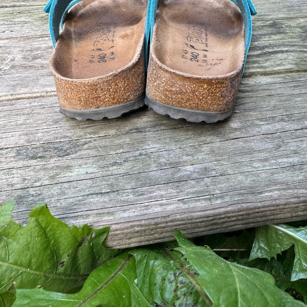 Birkenstock Turquoise Sandals - Picture 6 of 6